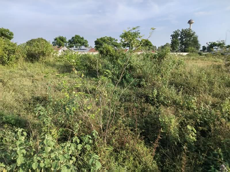 ขายที่ดิน โฉนด 12ไร่ ต.หนองตากยา อ.ท่าม่วง จ.กาญจนบุรี หลังวัดทะเลสาบ 1กม.กว่า ไร่ละ 240,000, กาญจนบุรี, หนองตากยา, ท่าม่วง, กาญจนบุรี, 19,220 ตร.ม., ที่ดิน ขาย, โดย บูม บูม, 11184257 - DDproperty.com