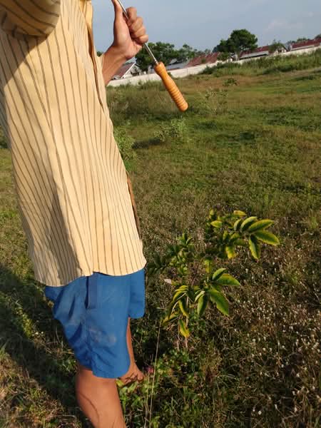 ขายที่ดิน โฉนด 12ไร่ ต.หนองตากยา อ.ท่าม่วง จ.กาญจนบุรี หลังวัดทะเลสาบ 1กม.กว่า ไร่ละ 240,000, กาญจนบุรี, หนองตากยา, ท่าม่วง, กาญจนบุรี, 19,220 ตร.ม., ที่ดิน ขาย, โดย บูม บูม, 11184257 - DDproperty.com