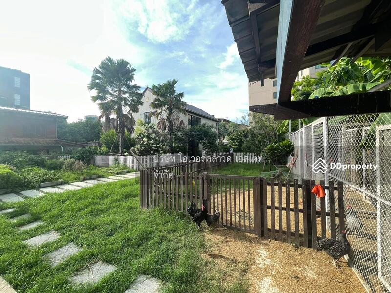 ขายที่ดินพร้อมสิ่งปลูกสร้าง ลุมพินี ยานนาวา : Land for sale with buildings Lumpini Yannawa, Bangkok, Chong Nonsi, Yan Nawa, Bangkok, , 1,524 sqm, Land For Sale, by TOAH T., 11184599 - DDproperty.com