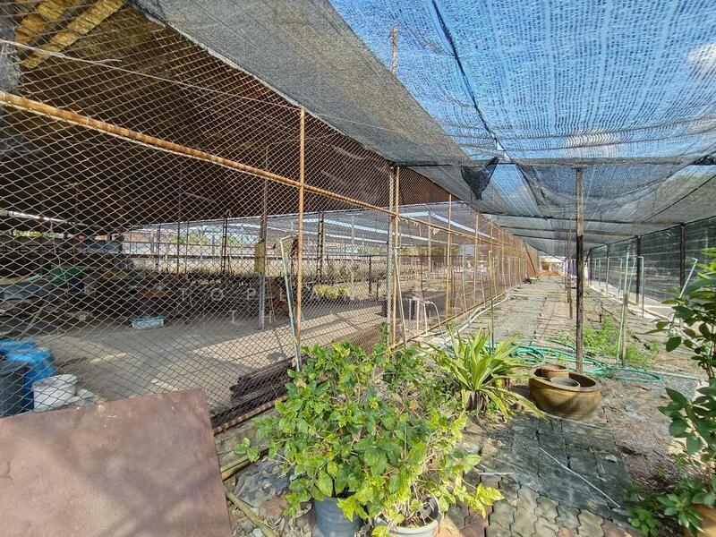 ให้เช่า - ให้เช่า ที่ดิน ถนนทวีวัฒนา แขวงทวีวัฒนา เขตทวีวัฒนา เนื้อที่ 1-0-0 ไร่ ( ทำเลถนนใหญ่ แหล่งค้าขาย ), กรุงเทพ