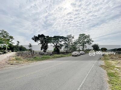 ขาย - ขายที่ดิน รังสิต-นครนายก คลอง 13 ปทุมธานี เนื้อที่ 100 ไร่ ติดถนนรังสิต-นครนายก, ปทุมธานี