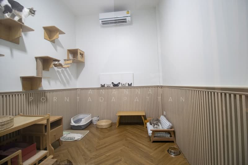 บ้านสไตล์ค่าเฟ่ โมเดิร์น ขายพร้อมอุปกรณ์ร้านอาหาร 4 ห้องนอน พร้อมสระว่ายน้ำ, เชียงใหม่, หนองหาร, สันทราย, เชียงใหม่, 400 ตร.ม., บ้านเดี่ยว ขาย, โดย Tanannat Porntadapattanayothin, 11189009 - DDproperty.com