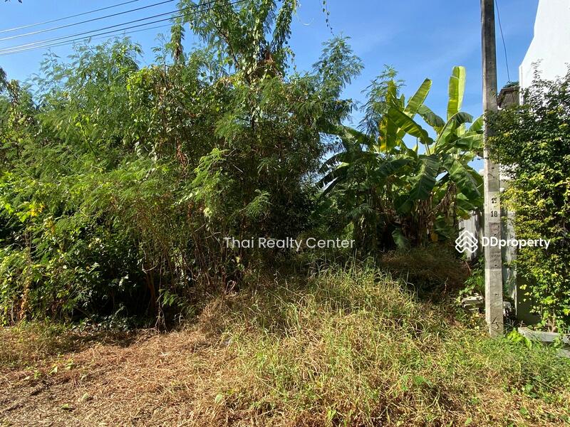 ขาย - ที่ดินเปล่า ซอยเพชรเกษม 64, กรุงเทพ
