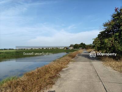 ขาย - บางวัว บางปะกง สมุทรปราการ, ฉะเชิงเทรา