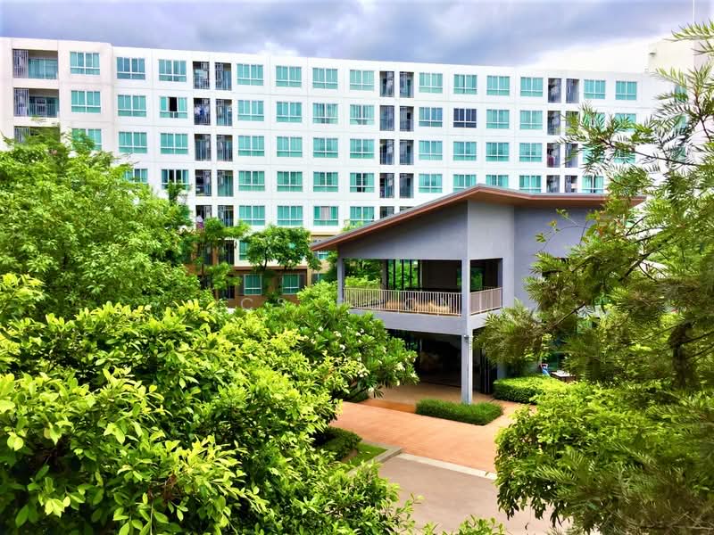 For Rent - Dcondo Nim, Chiang Mai