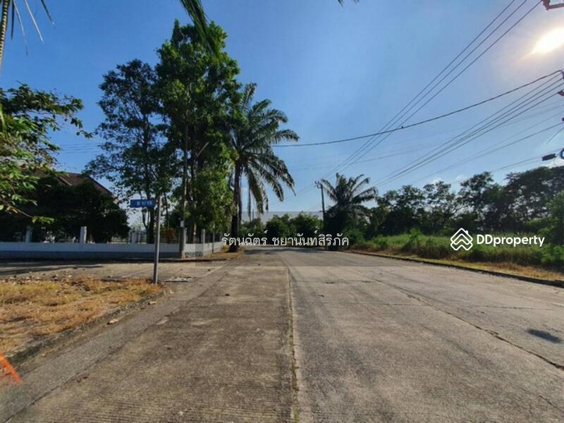 Land for sale, Krisada Nakhon Village 25, Soi Pracha Ruamjai 31, Min Buri, Bangkok., Bangkok, 1 ประชาร่วมใจ(คู้ซ้าย), Min Buri, Min Buri, Bangkok, , 336 sqm, Land For Sale, by รัตนฉัตร์ ชยานันท์สิริภัค, 11193962 - DDproperty.com