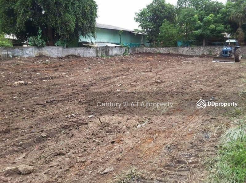 ขายที่ดินเปล่า ศรีราชา - หนองค้อ12 ที่ดินสวยแหล่งชุมชน