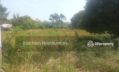 ขาย - ที่ดินไม้ขาวภูเก็ต, ภูเก็ต