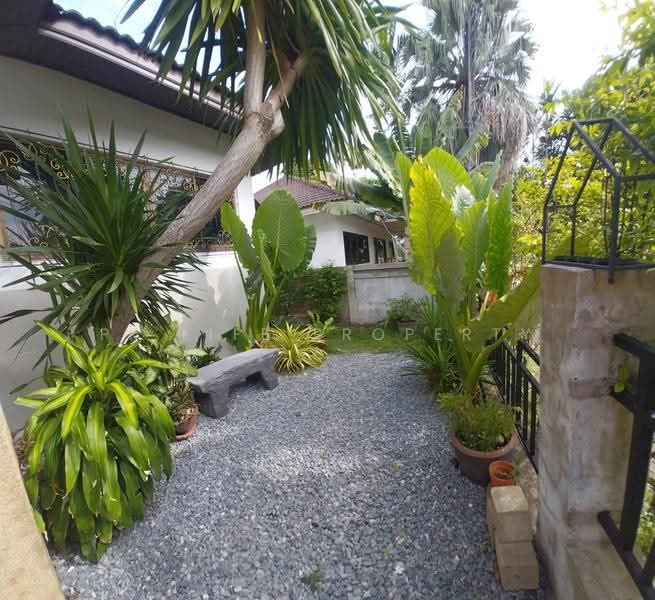 13R0081 This house for rent 3bedrooms 2bathrooms 25,000/month at paklok (available on March 2025), ภูเก็ต, ป่าคลอก, ถลาง, ภูเก็ต, 180 ตร.ม., บ้านเดี่ยว ให้เช่า, โดย PK LIFE Property, 11201299 - DDproperty.com