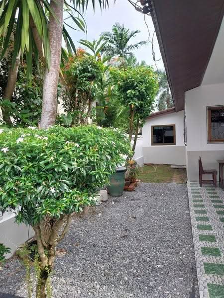 13R0081 This house for rent 3bedrooms 2bathrooms 25,000/month at paklok (available on March 2025), ภูเก็ต, ป่าคลอก, ถลาง, ภูเก็ต, 180 ตร.ม., บ้านเดี่ยว ให้เช่า, โดย PK LIFE Property, 11201299 - DDproperty.com