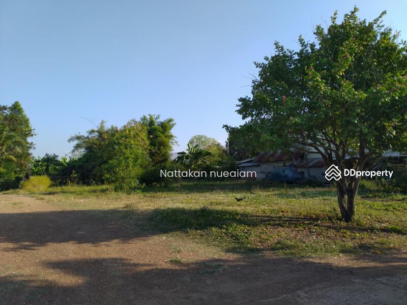ขาย - ขาย ที่ดิน 191 ตร.วา โฉนดครุฑแดง ติดถนนใหญ่ ใกล้ โลตัส วังน้ำเย็น 4.6 กิโล, สระแก้ว