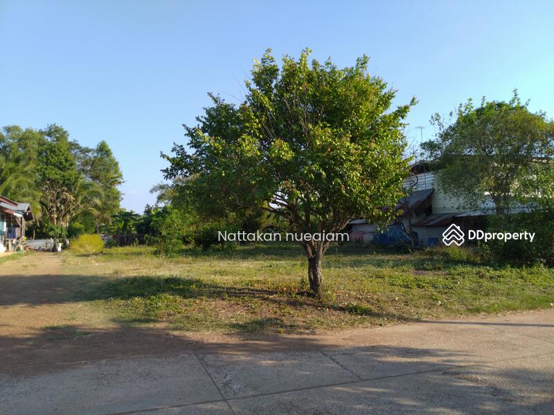 ขาย - ขาย ที่ดิน 191 ตร.วา โฉนดครุฑแดง ติดถนนใหญ่ ใกล้ โลตัส วังน้ำเย็น 4.6 กิโล, สระแก้ว
