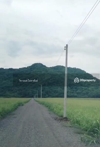 ขาย - ที่ดินตีนเขาเน้นๆ วิวเขา 360องศา น้ำไฟฟ้าหน้าแปลง พื้นที่11-3-74ไร่ ต.หนองพิกุล อ.ตากฟ้า จ.นครสวรรค์, นครสวรรค์