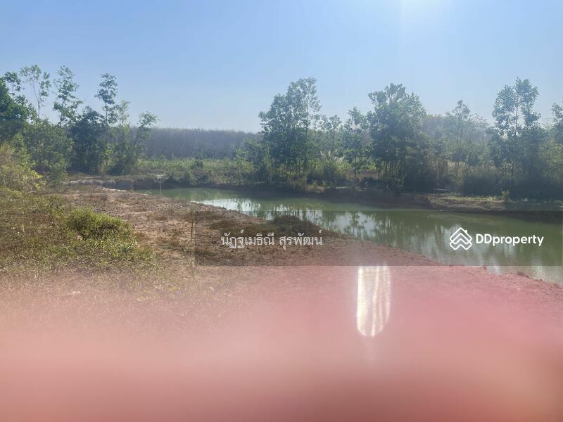 For Sale - Sale land 44 rai main road Nong Khla Tah mai Chantaburi near sukhumvit rd, with Durian tree age4.5 y, Chanthaburi