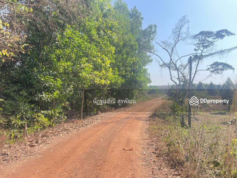 For Sale - Sale land 44 rai main road Nong Khla Tah mai Chantaburi near sukhumvit rd, with Durian tree age4.5 y, Chanthaburi