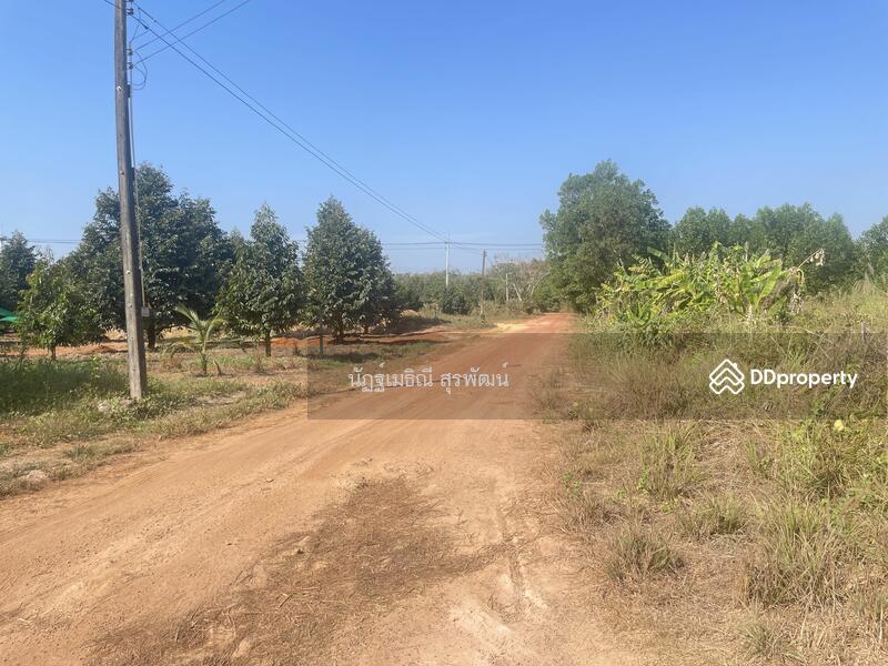 For Sale - Sale land 44 rai main road Nong Khla Tah mai Chantaburi near sukhumvit rd, with Durian tree age4.5 y, Chanthaburi