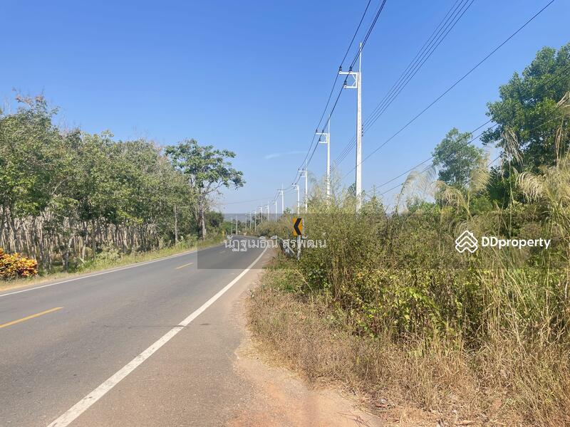 For Sale - Sale land 44 rai main road Nong Khla Tah mai Chantaburi near sukhumvit rd, with Durian tree age4.5 y, Chanthaburi