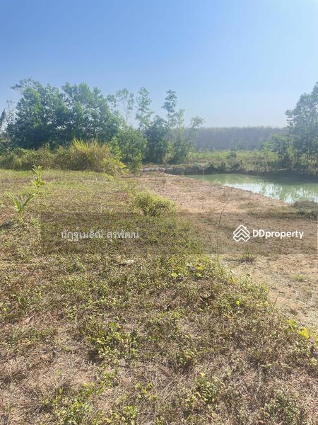 For Sale - Sale land 44 rai main road Nong Khla Tah mai Chantaburi near sukhumvit rd, with Durian tree age4.5 y, Chanthaburi