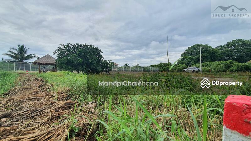For Sale - Land for sale near river in Chiangmai, Chiang Mai