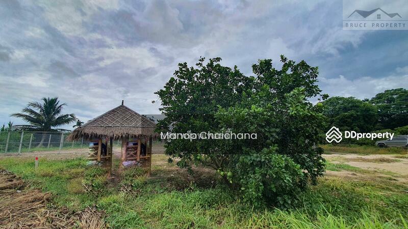 For Sale - Land for sale near river in Chiangmai, Chiang Mai