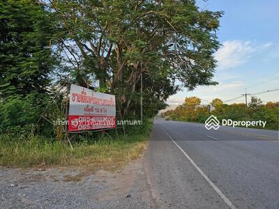 ขาย - ลานคอนกรีต เนื้อที่ 12.5 ไร่ ต.สมเด็จ อ.สมเด็จ จ.กาฬสินธ์, กาฬสินธุ์