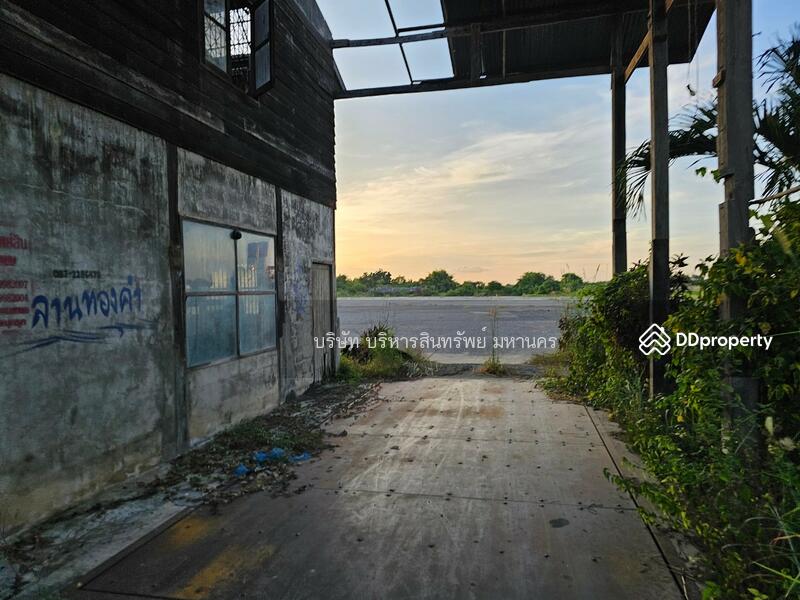 For Sale - Concrete field 12.5Rai in Somdech, Kalasin, Kalasin