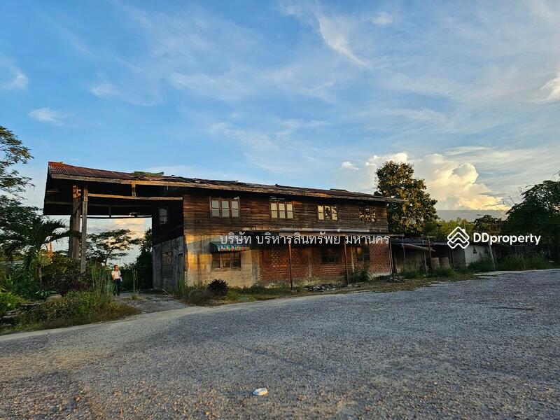 For Sale - Concrete field 12.5Rai in Somdech, Kalasin, Kalasin