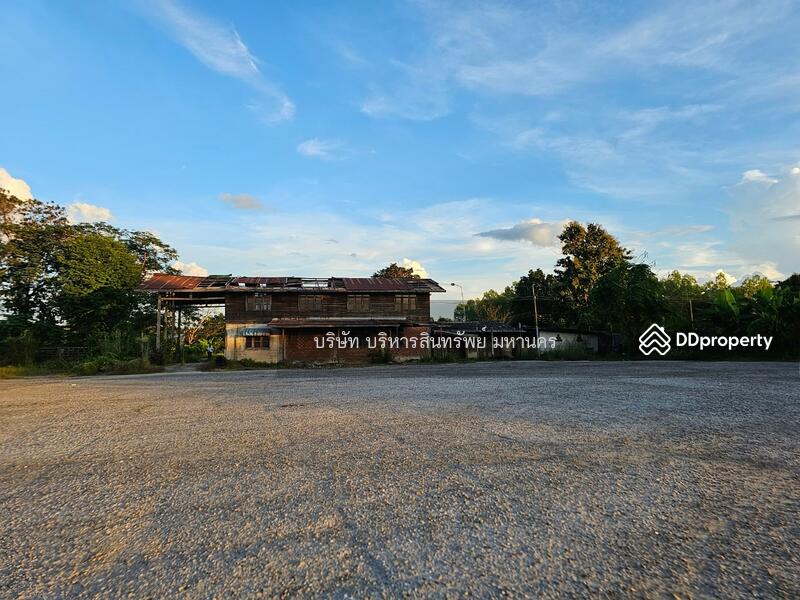 For Sale - Concrete field 12.5Rai in Somdech, Kalasin, Kalasin
