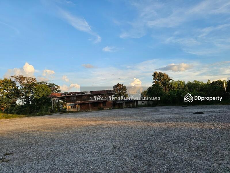 For Sale - Concrete field 12.5Rai in Somdech, Kalasin, Kalasin