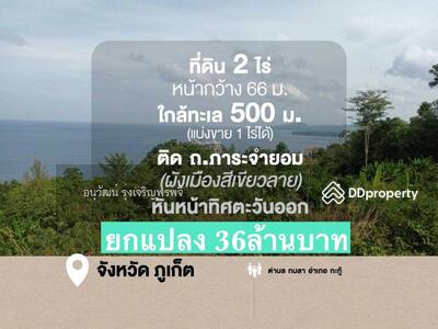 ขาย - ขายที่ดิน ภูเก็ต 2 ไร่ กะทู้ กมลา, ภูเก็ต