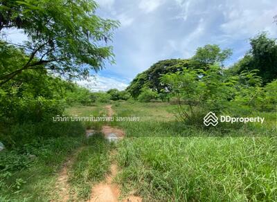 ขาย - 40000, ขอนแก่น