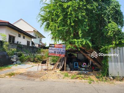 ขาย - ขายที่ดิน ถ.พหลโยธิน ซ.48 เนื้อที่ 95 ตร.ว ทำเลใกล้บิ๊กซีสะพานใหม่ เซนทรัลรามอินทรา วงเวียนหลักสี่, กรุงเทพ