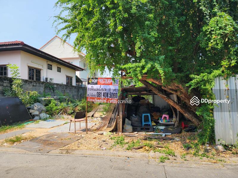 Land for sale on Phahonyothin 48, near Big C Saphan Mai., Bangkok, พหลโยธิน, Anusaowari, Bang Khen, Bangkok, , 380 sqm, Land For Sale, by นัชชา กำลังเหลือ, 11207227 - DDproperty.com