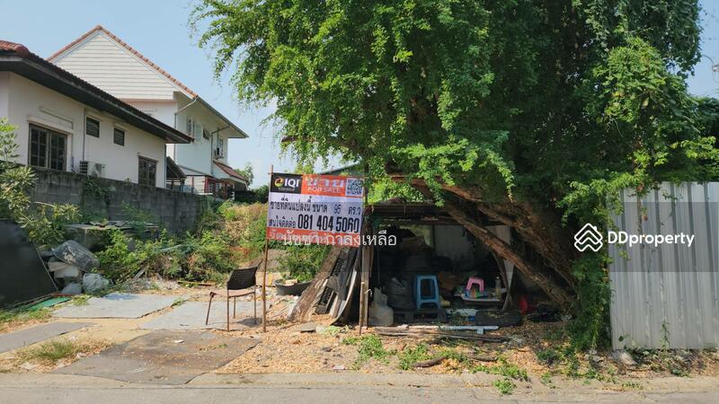 ขายที่ดิน ถ.พหลโยธิน ซ.48 เนื้อที่ 95 ตร.ว ทำเลใกล้บิ๊กซีสะพานใหม่ เซนทรัลรามอินทรา วงเวียนหลักสี่, กรุงเทพ, พหลโยธิน, อนุสาวรีย์, บางเขน, กรุงเทพ, 380 ตร.ม., ที่ดิน ขาย, โดย นัชชา กำลังเหลือ, 11207227 - DDproperty.com