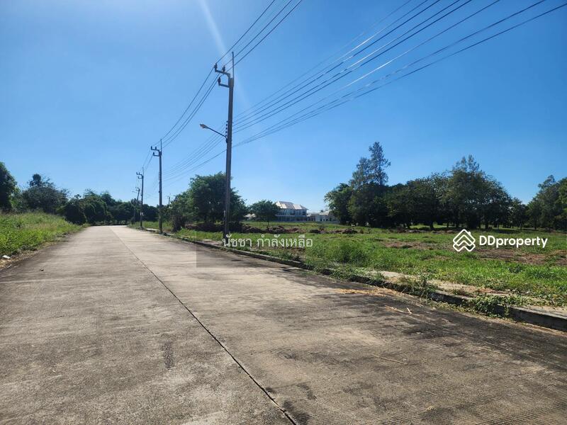 Land for sale in Windsor Park & Glof Club., Bangkok, สุวินทวงศ์, Khok Faed, Nong Chok, Bangkok, , 1,568 sqm, Land For Sale, by นัชชา กำลังเหลือ, 11207351 - DDproperty.com