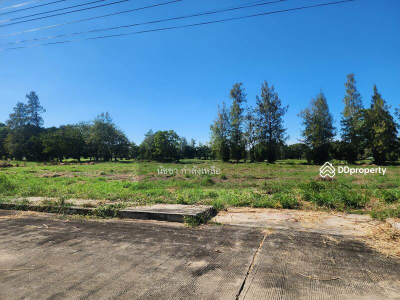 Land for sale in Windsor Park & Glof Club., Bangkok, สุวินทวงศ์, Khok Faed, Nong Chok, Bangkok, , 1,568 sqm, Land For Sale, by นัชชา กำลังเหลือ, 11207351 - DDproperty.com