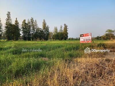 ขาย - ขายที่ดิน หมู่บ้านวินเซอร์กอล์ฟคลับ โซนมีนบุรี หนองจอก ร่มเกล้า ลาดกระบัง, กรุงเทพ