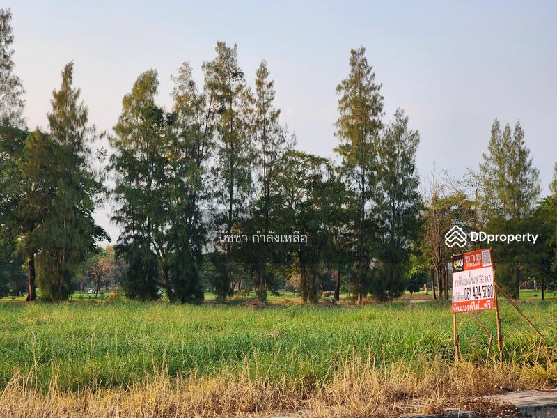 Land for sale in Windsor Park & Glof Club., Bangkok, สุวินทวงศ์, Khok Faed, Nong Chok, Bangkok, , 1,568 sqm, Land For Sale, by นัชชา กำลังเหลือ, 11207351 - DDproperty.com