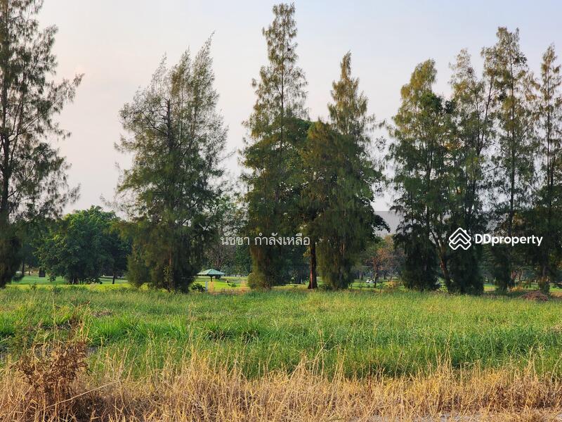 Land for sale in Windsor Park & Glof Club., Bangkok, สุวินทวงศ์, Khok Faed, Nong Chok, Bangkok, , 1,568 sqm, Land For Sale, by นัชชา กำลังเหลือ, 11207351 - DDproperty.com