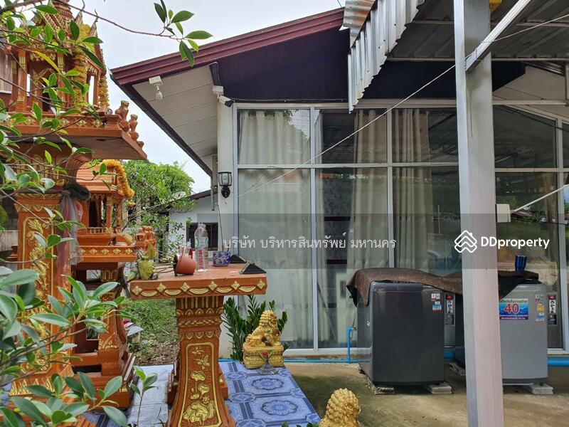 ขาย - 42130, เลย
