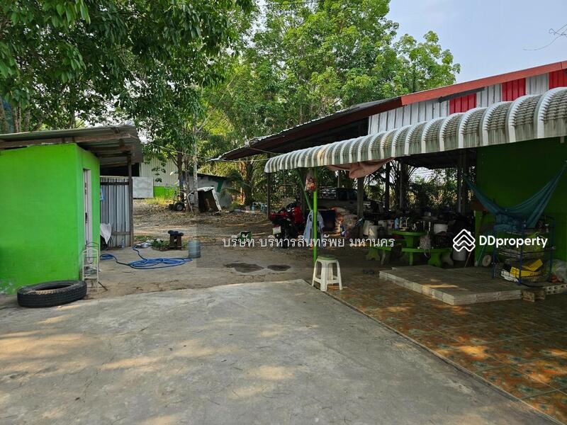 ขาย - 42130, เลย