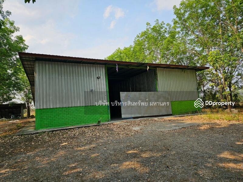 ขาย - 42130, เลย