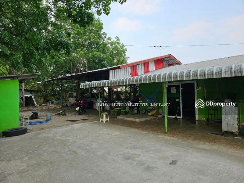 ขาย - 42130, เลย