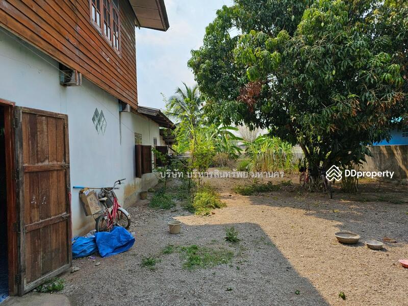 For Sale - Detached house in Wangsaphong, Loie, Land size178 sq.w., Loei