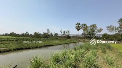 ขาย - ขายที่ดินเปล่า อำเภอหนองเสือ ติดถนนเลียบคลอง 11 ฝั่งตะวันตก เนื้อที่ 80-1-70 ไร่ ใกล้วัดป่าคลอง 11, ปทุมธานี