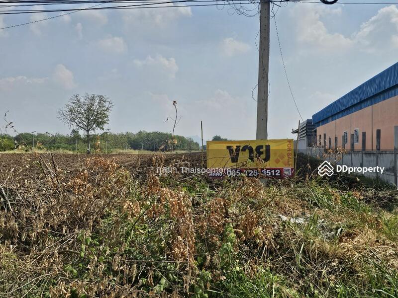 For Sale - ขาย, Saraburi