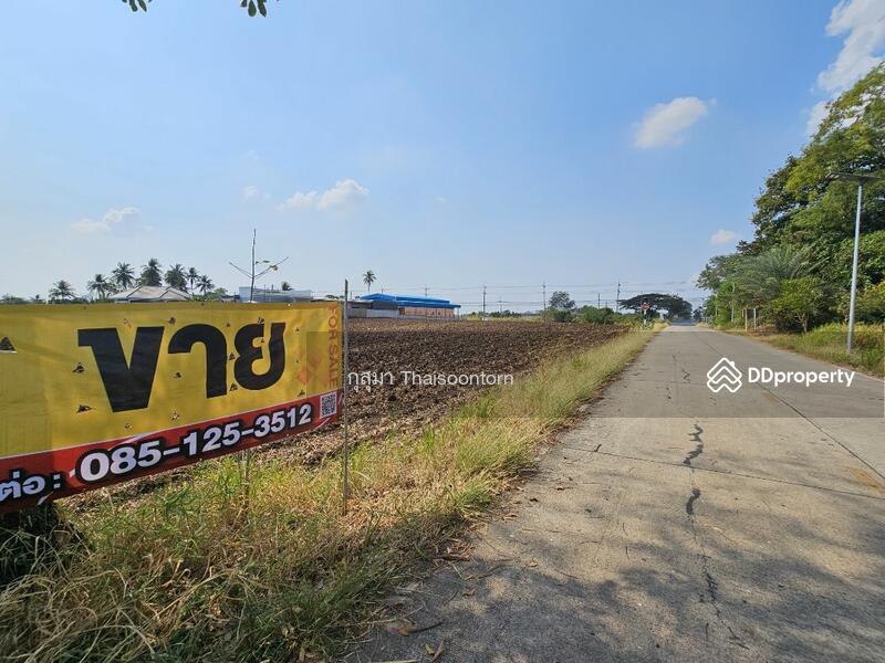 For Sale - ขาย, Saraburi
