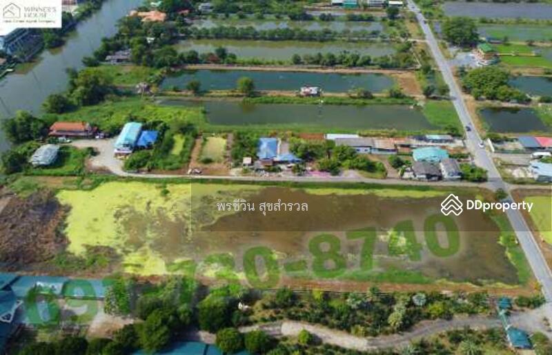 ขายที่ดิน 7-1-13ไร่ ขุมทอง ลาดกระบัง, Bangkok, - ประชาพัฒนา, Khum Thong, Lat Krabang, Bangkok, , 11,652 sqm, Land For Sale, by พรชีวิน สุขสำรวล, 11208662 - DDproperty.com