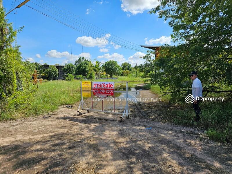 44110, มหาสารคาม, ลานสะแก, พยัคฆภูมิพิสัย, มหาสารคาม, 2,000 ตร.ม., โกดัง-โรงงาน ขาย, โดย บริษัท บริหารสินทรัพย์ มหานคร, 11209376 - DDproperty.com