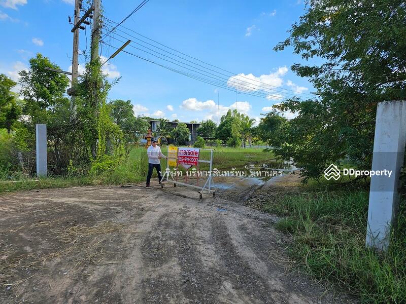 Warehouse, Factory and office in Prayakkaphume, Mahasarakram, Maha Sarakham, Lan Sakae, Phayakkhaphum Phisai, Maha Sarakham, , 2,000 sqm, Warehouse/Factory For Sale, by Nopadon Iamimsamran, 11209376 - DDproperty.com